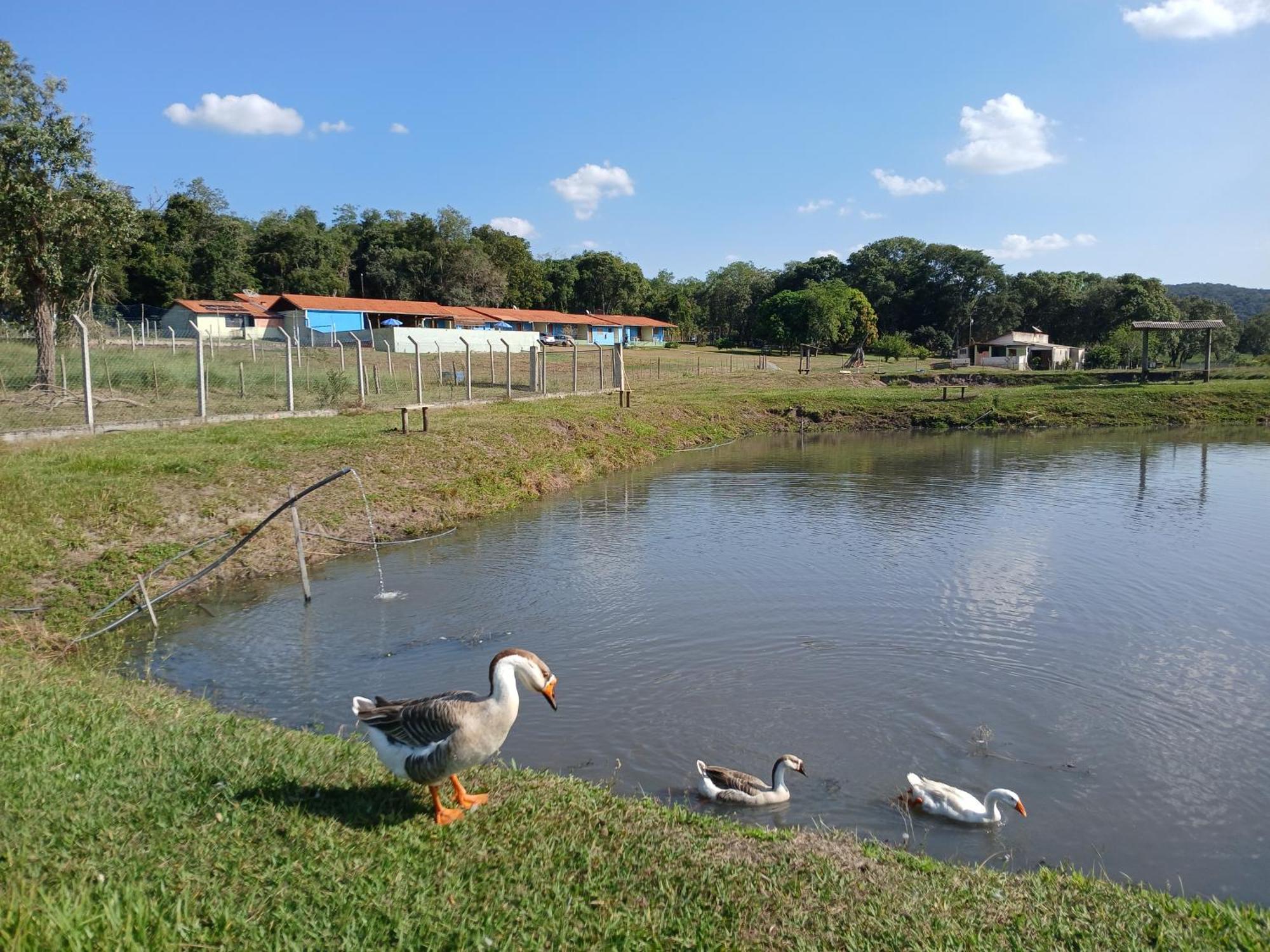 Hotel Fazenda Recanto Do Monte Alegre Piraju Bagian luar foto
