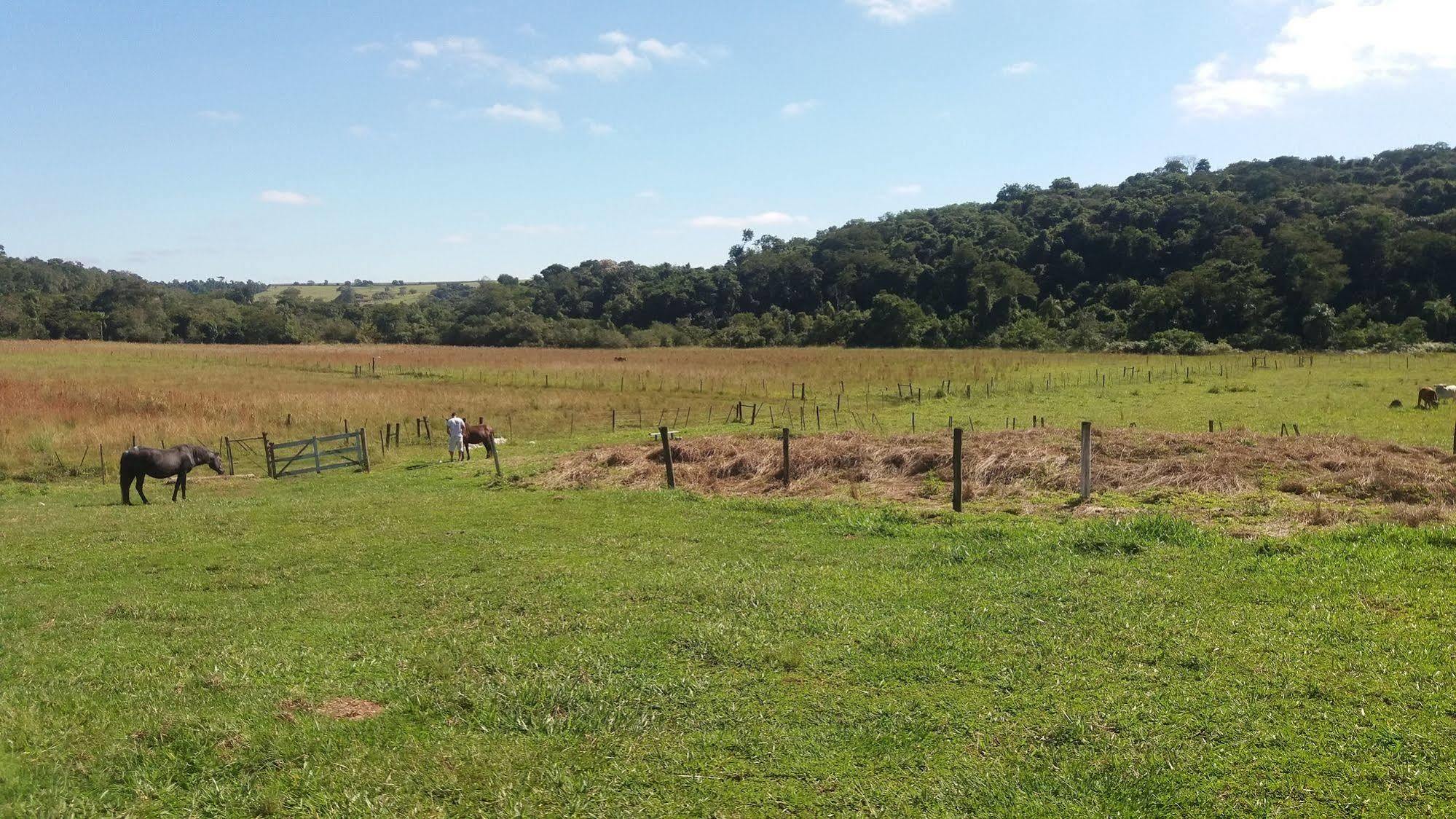 Hotel Fazenda Recanto Do Monte Alegre Piraju Bagian luar foto